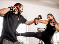 Kampfsport-Martial-Arts-Sytematics