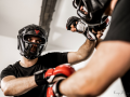 MMA-Mix-Martial-Arts-Sytematics